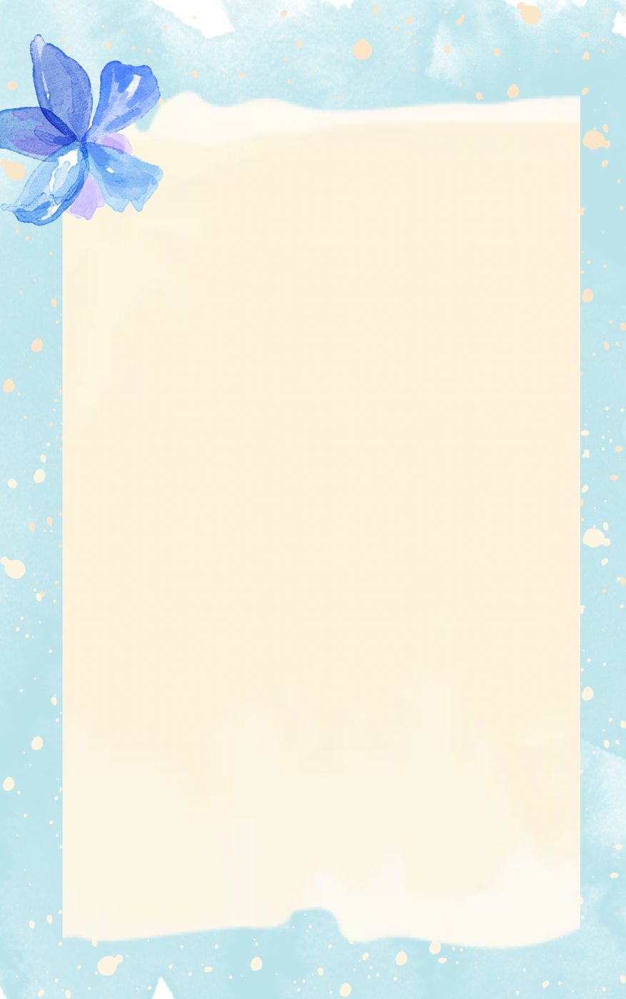 Diary cover template blank